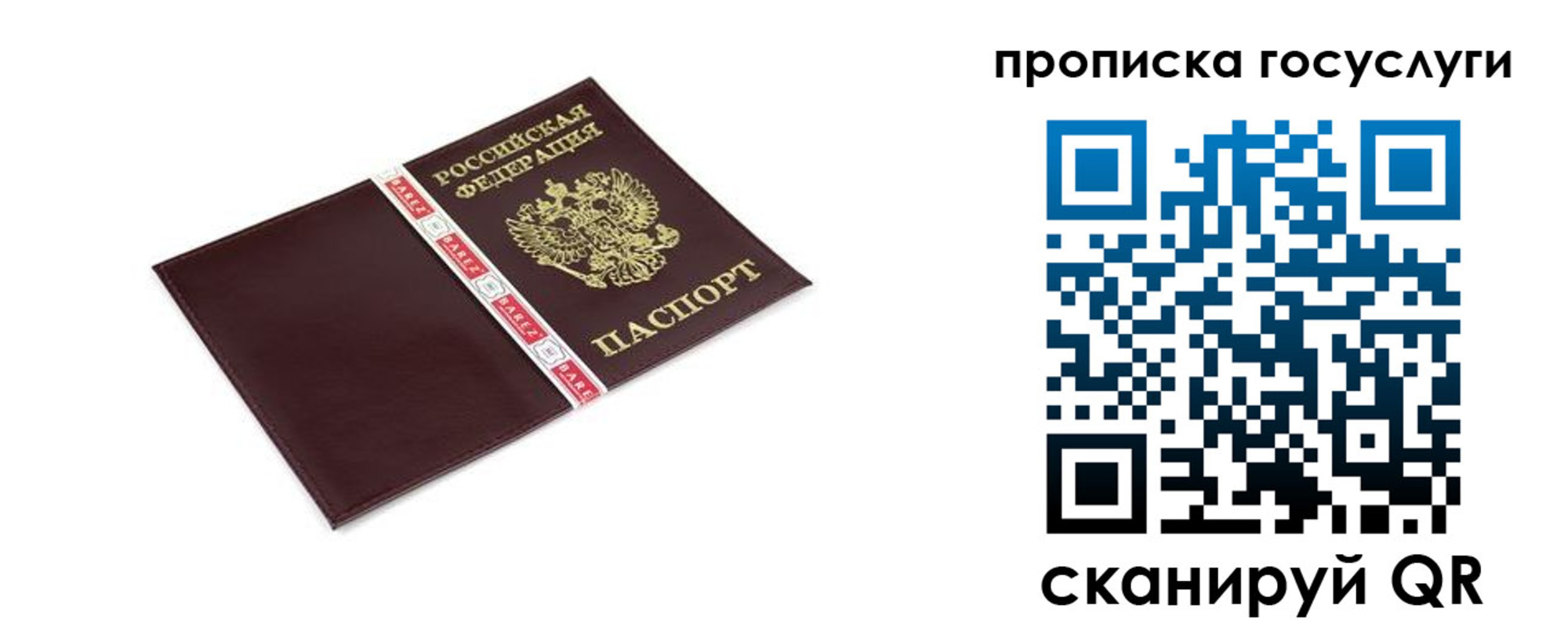 временная регистрация госуслуги в Александрове